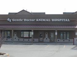 Exterior of Gentle Doctor Animal Hospital Blondo location in Omaha, NE
