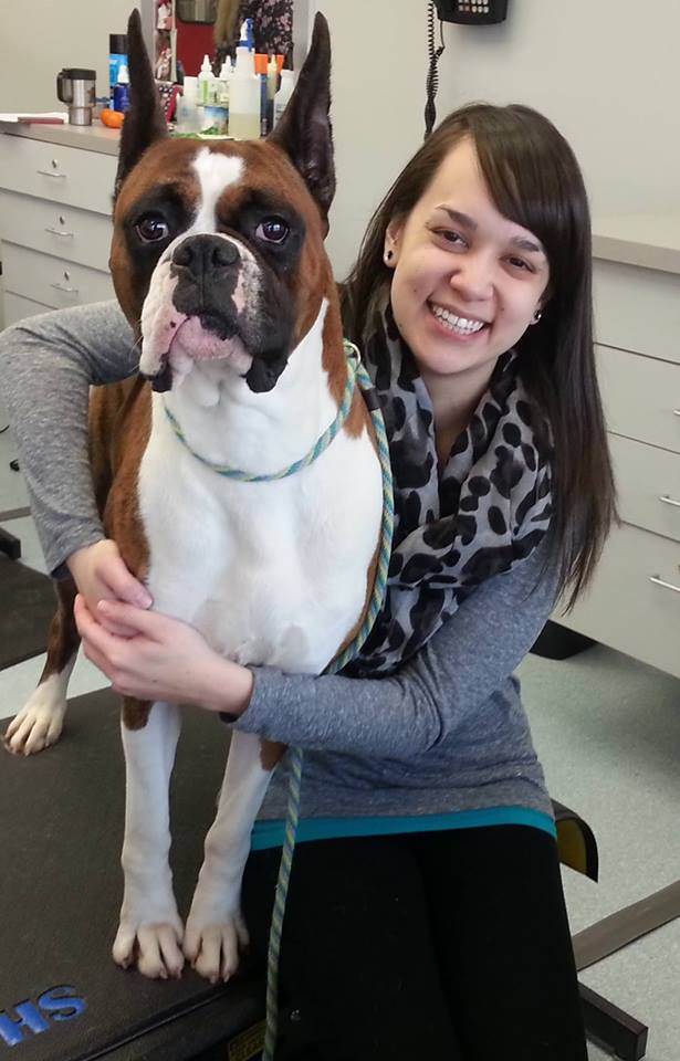 Allison Parker, Licensed Veterinary Technician with Groomer Pam's Boxer, Jaxson