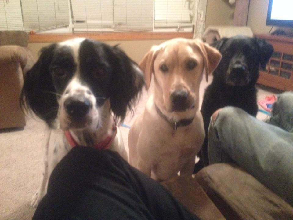 Kash, Bella and Coal Campbell