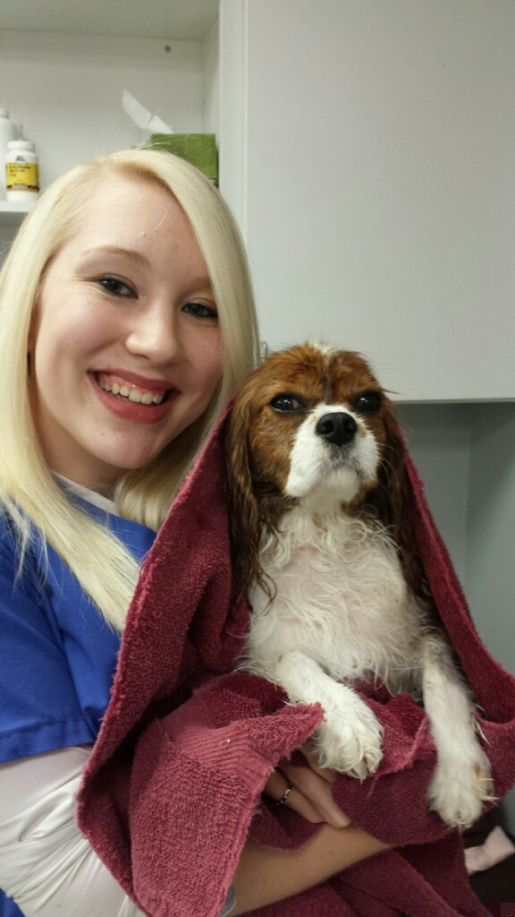 Nicole with Dr. Stokes's Minerva after a bath