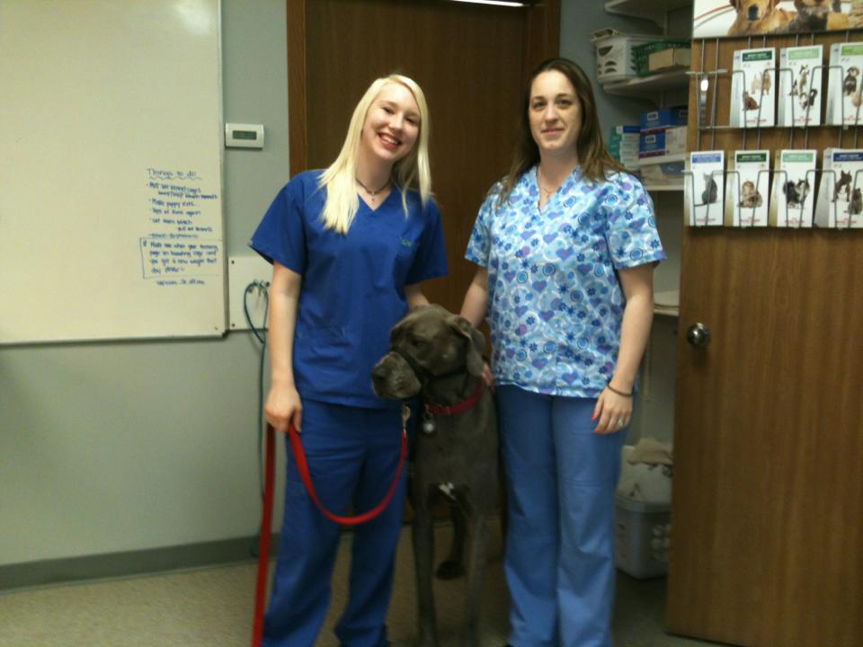 Nicole and Kelly with Sloan