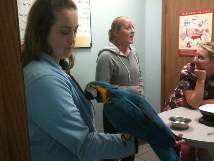 Kelly with Groomer Amy's Macaw Nephew!