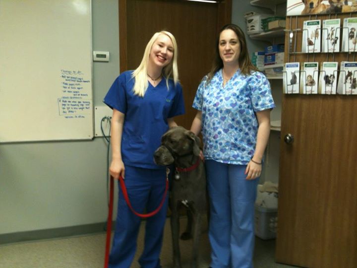 Nicole and Kelly with Great Dane Sloan