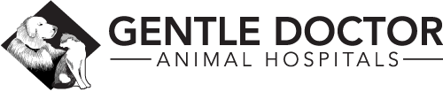 Animal Hospital Omaha NE | Gentle Doctor Animal Hospitals